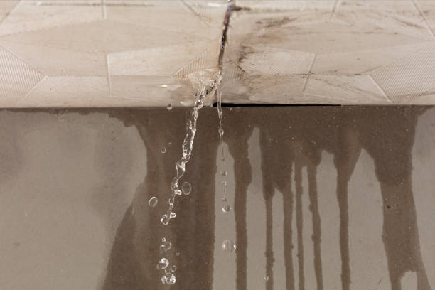 Professional Burst Pipe Cleanup technician working in Roundhead, OH